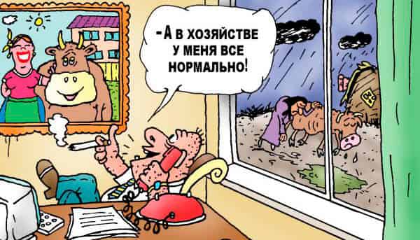 наивный руководитель